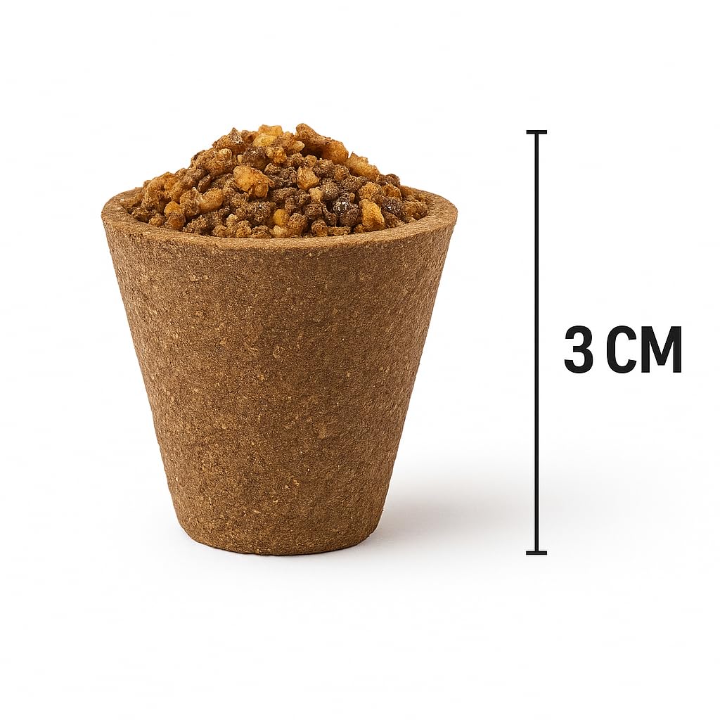 Sambrani Dhoop Cups – Pack of 65